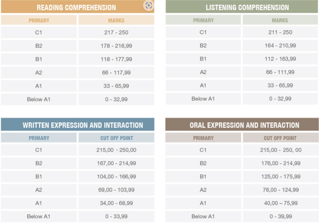 SIELE exam types